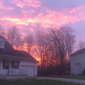 Meet your Posher, Lola